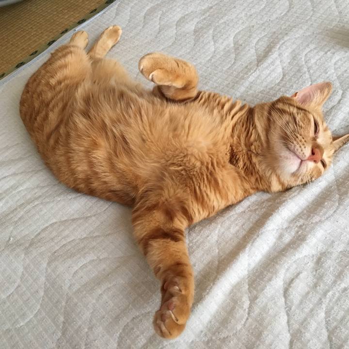 6740ab61 1815 45f0 8e92 e048096cc287