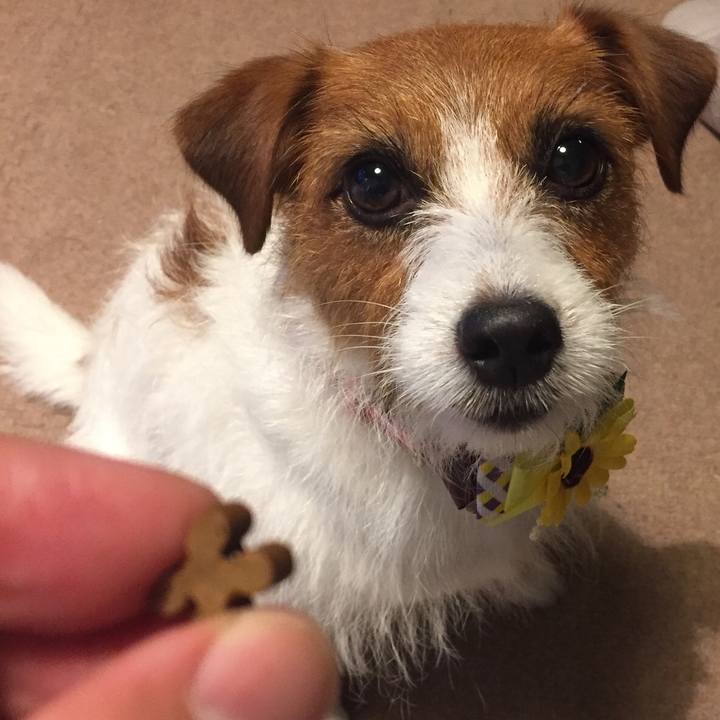 6740df51 0155 4967 83ad 347ab865ba34