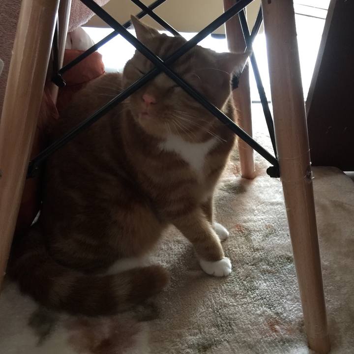 6740ed13 4a5b 4509 9c6c 81c457ac5bbe