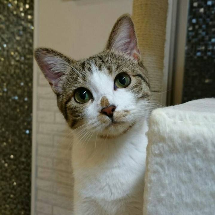 674255eb 7d70 4aab bdd7 aee739acf4ca