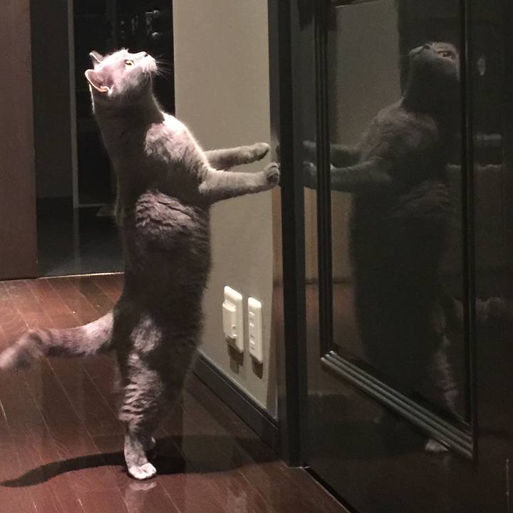 6742c368 3e6e 42db 8259 96401d4e017a