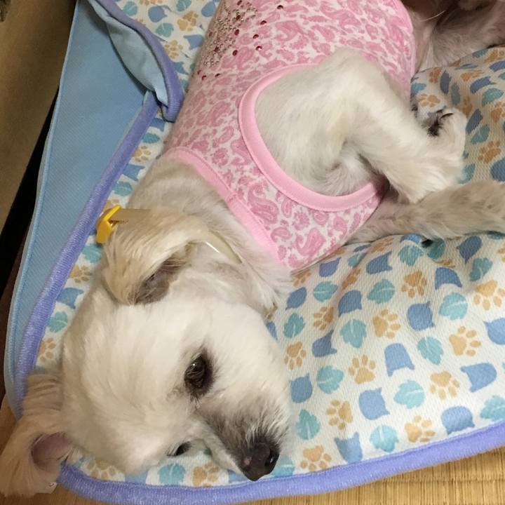 6743ffb2 6ad1 4afd b7c7 862c1efc4933