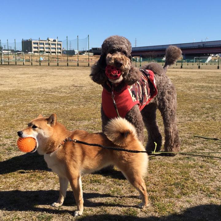 67442a75 8af1 49d4 8917 1dd15ac2866e