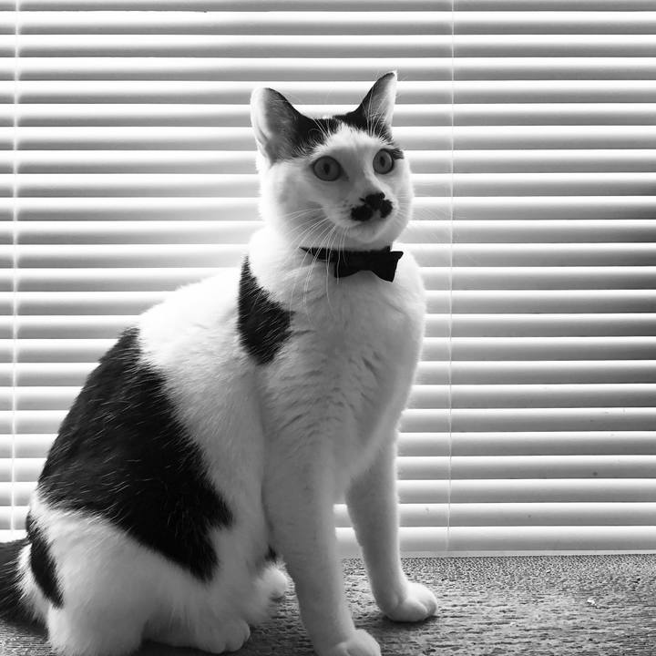 67447c43 d08c 4b4b ad52 1bb467790ff5