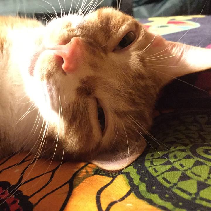 6744dfd5 8710 42d3 a7c7 3e41924383ee