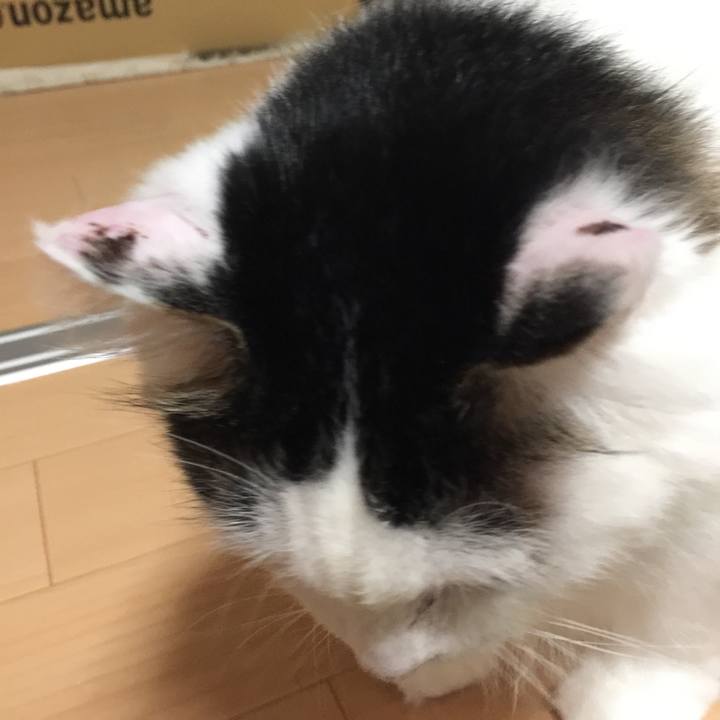 67456643 b2f3 44ca ae84 959b2aef4802