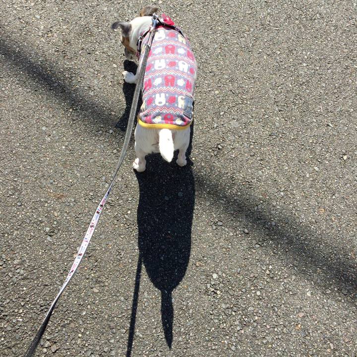 6745bc45 14f8 4104 bd05 c6f5860e8b5e