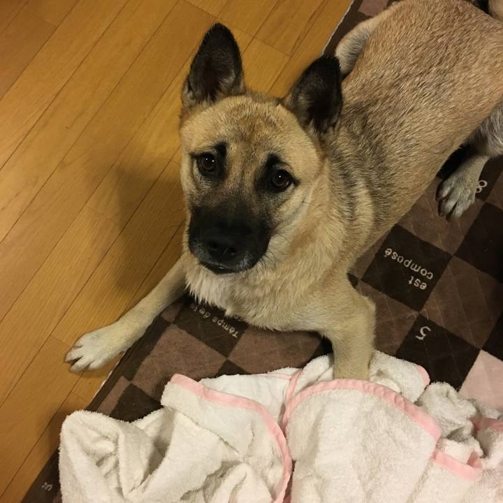 674655fd 9609 474c b1d7 1db6529519f3