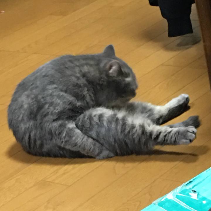 674681bd 3c36 41ac bc62 0e3314a2da99