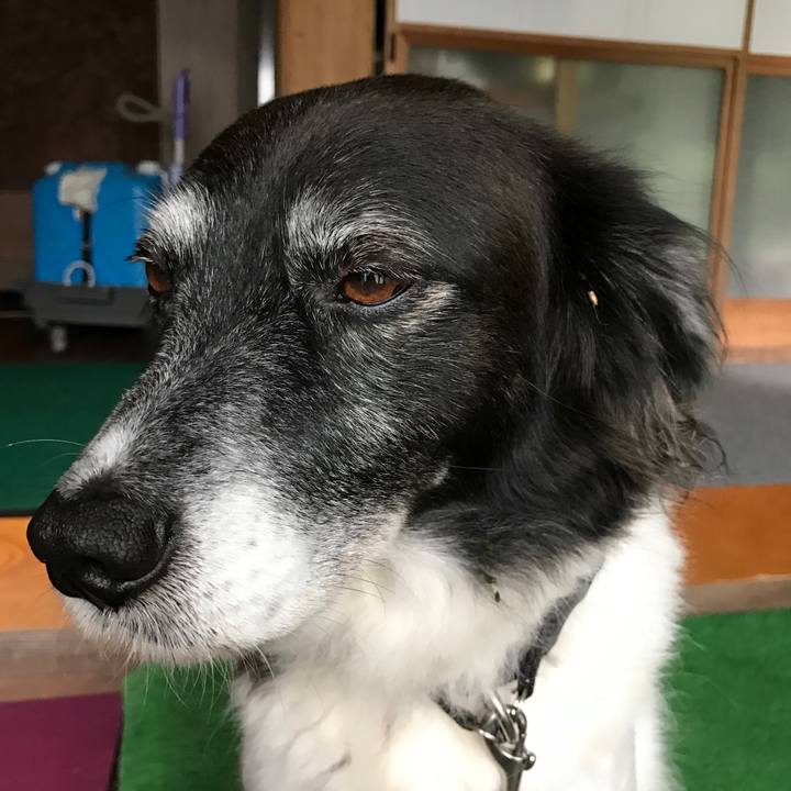 6747120c 02ed 4c5e 9db4 ed47f3dd1872