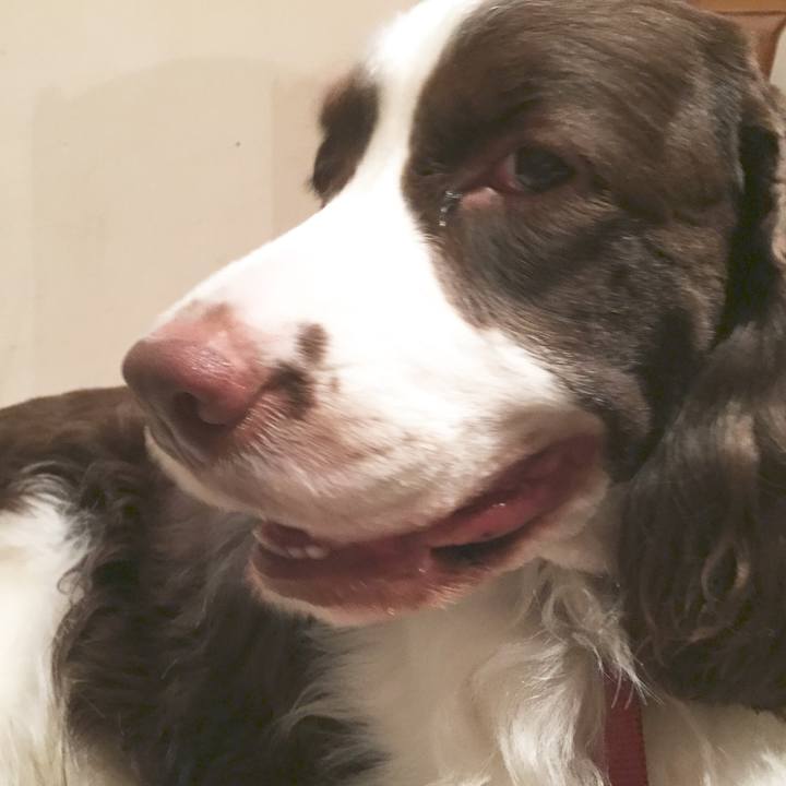 674765ba 1572 45ad 9748 784848e91fe1