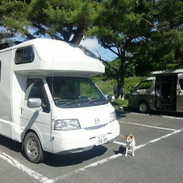 67477389 9c81 4c85 9aa3 bbffdb97253a