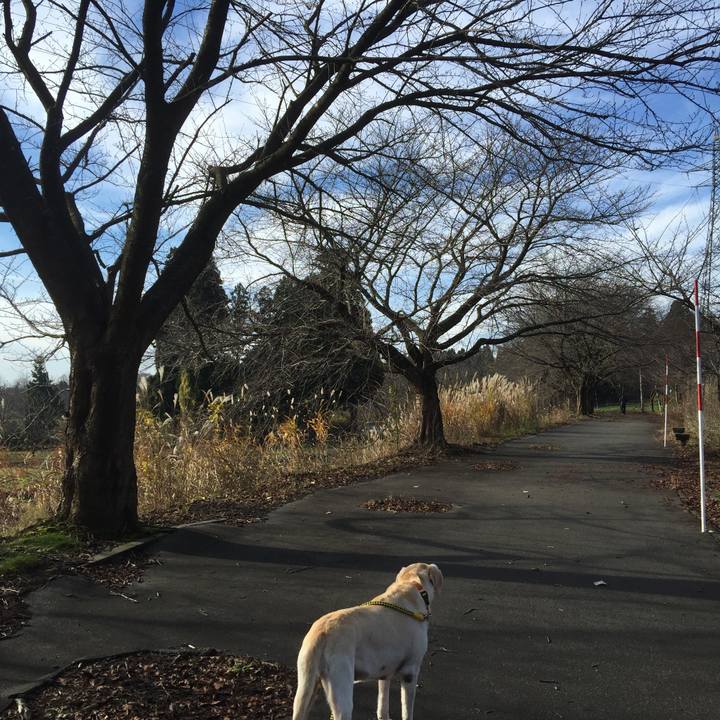 674942d7 d2b0 4b49 a6c5 36aa37b5f336