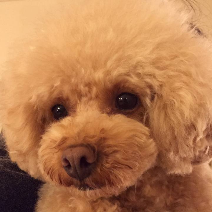 674a8ad1 35ee 412f 93ae 813a228d2f64