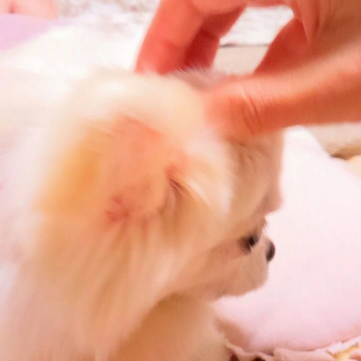 674abc48 9717 450f 8515 c9744d76fbf5