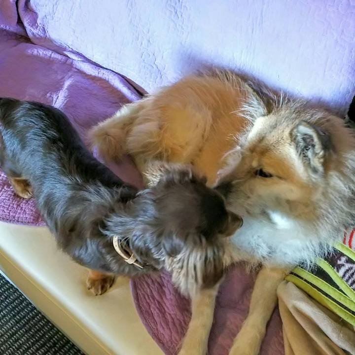 674b878c ff75 4356 bf28 ad05502f6117