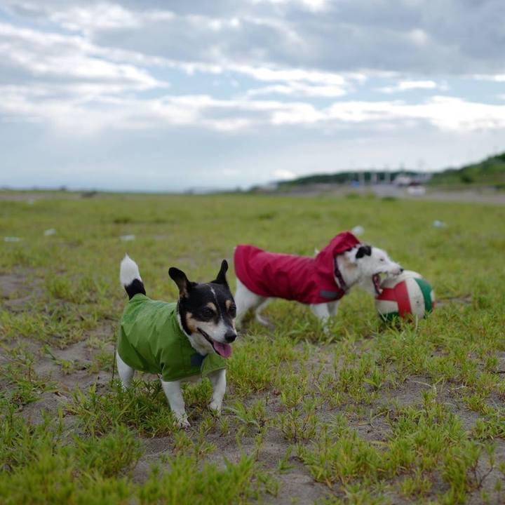 674c1e49 e442 45d1 9810 bccceb2166ab