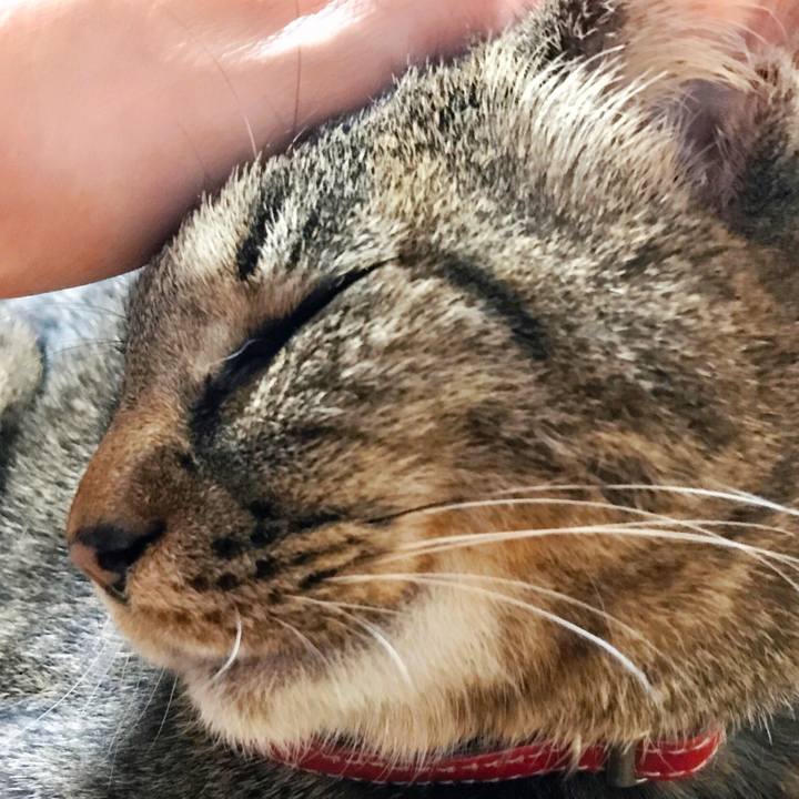 674c4dc5 aee2 4dbb 8ea0 889369e092d7