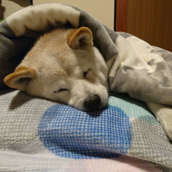 674c53a0 1ad6 4819 a8e3 5dd2822f624f