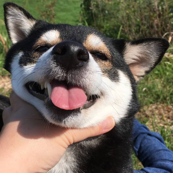 674cd234 dc91 4e03 9871 9e8e85dbfd71