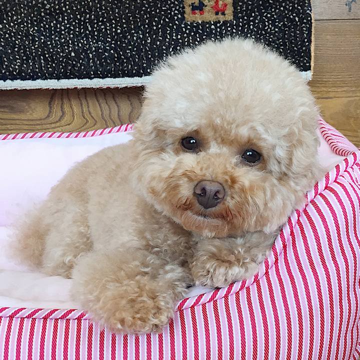 674d5e81 b5ce 40e9 986f 30898d30e1f6