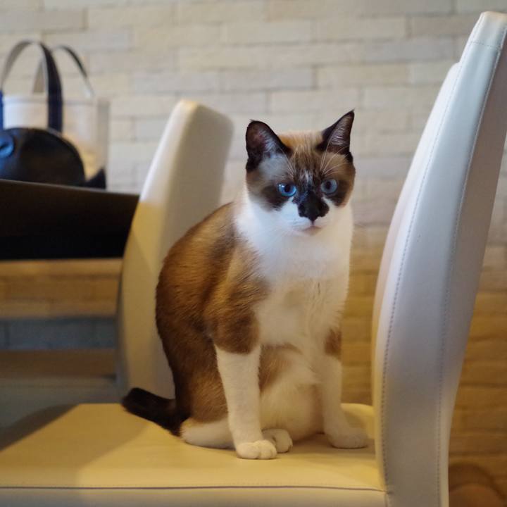 674db89b a174 4b69 aae3 e27574aed2da