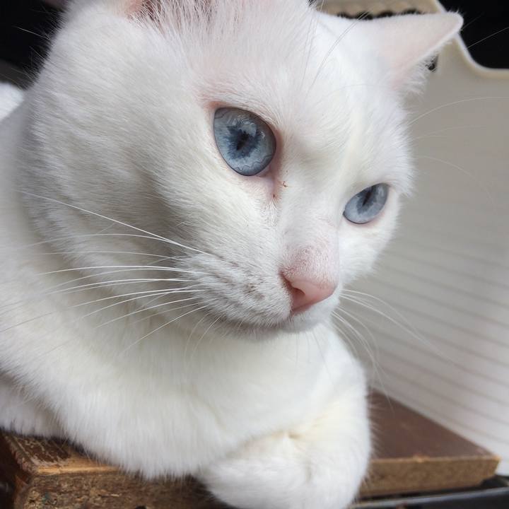 674de8e7 c153 4411 8637 75966e996429