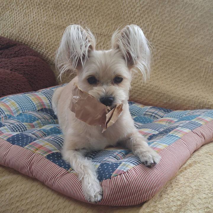 674e48f7 56ae 43cc afa5 5c04ff9d15ab