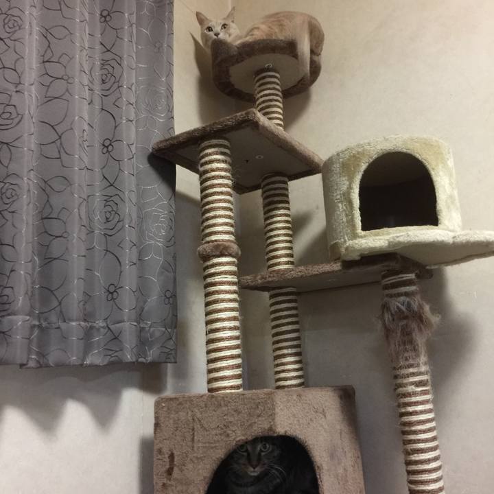 674ea253 3a03 4724 8d77 063934d19ddb