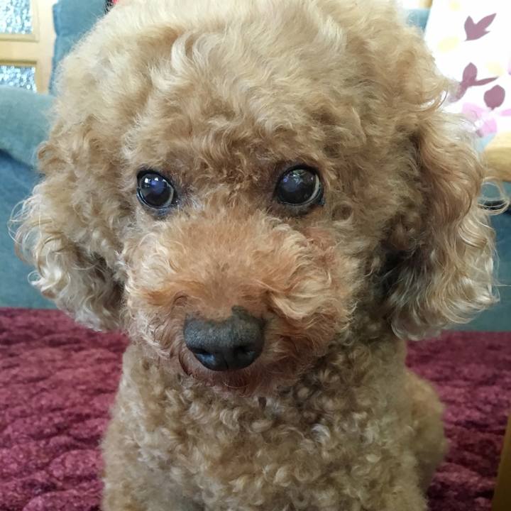 674ec380 fabb 45d6 b041 6646bd9fd9ba