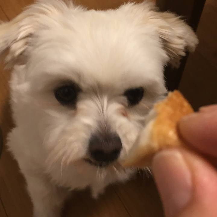 67502250 0e40 47c2 b06e b4129f3105e4