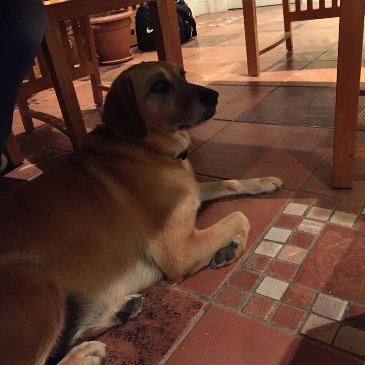 6750a7c9 90cd 40e0 a91c dde7ecfbc8dc