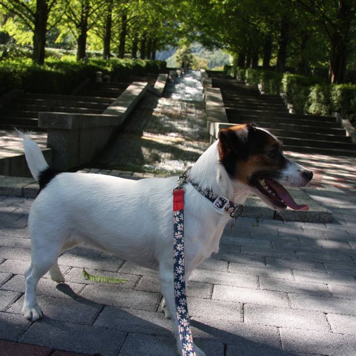 6750e6ed c29b 40d4 b3cf f71840611a5d