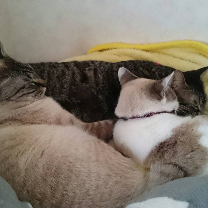 67516536 71ff 4dc9 a519 edb73facc170