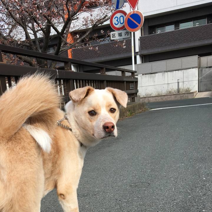 675166b9 49b4 47f2 888e 10c14223713e