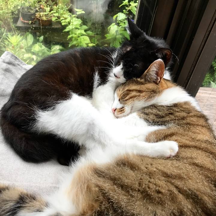 6751901d 3161 4151 ad0c dca38bdcc9d0