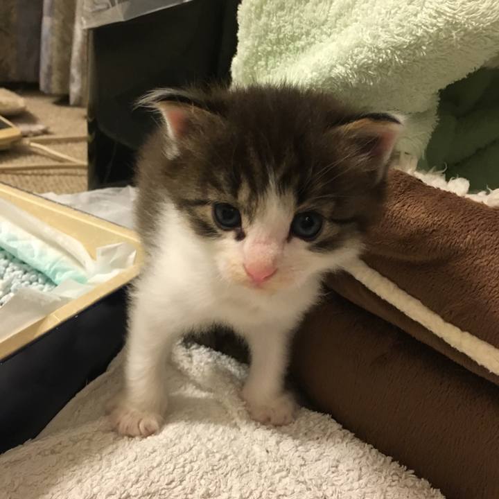 6751ed7a 43b9 4712 9c80 2690024e144b