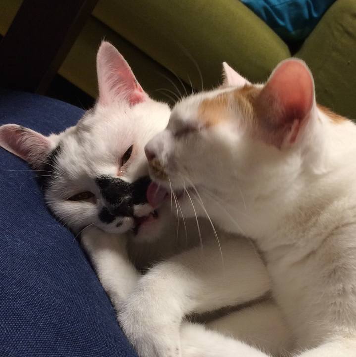 67524f12 4349 41e1 800c e3e765dae54d