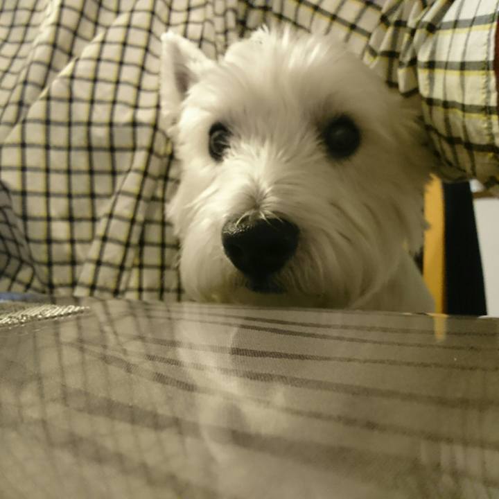 6752c4a1 bb1d 41b4 9fde 22445f1df695