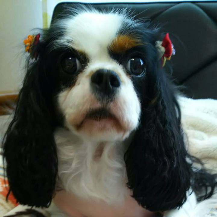 67534e19 bdbe 4171 bea5 c1700e104b6b