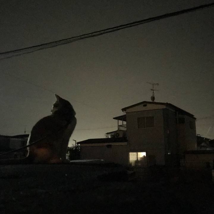 67535b37 18f7 4dd3 aba2 cdcd5a26b4d6