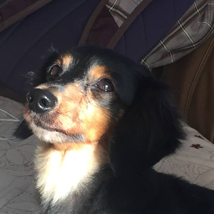 6753be91 6975 4f7d a25d 1f7e04af0c16