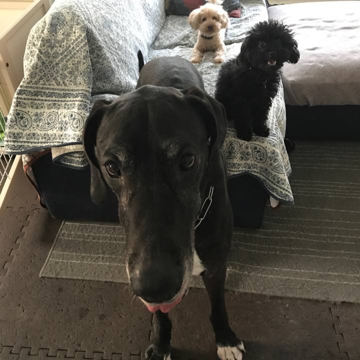 6753dd71 4710 46fc aaba 45103702cd5e