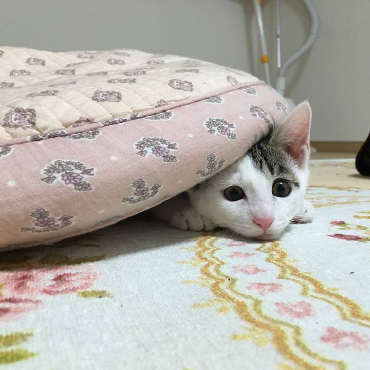 67545f39 546f 40de a329 876b61610b0a