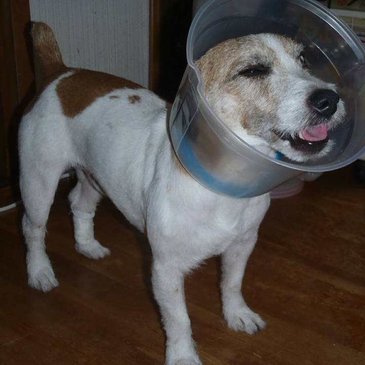 675479b2 21a5 41c7 86fe a1d22dbc4411