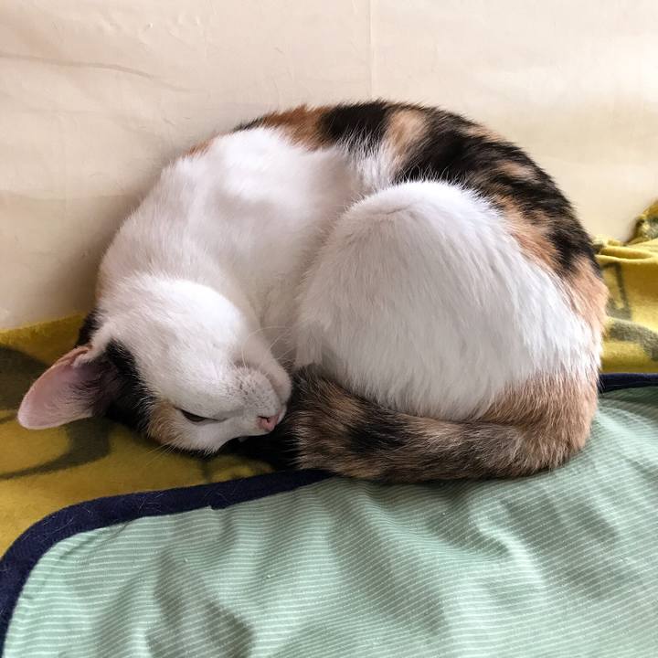 67548e38 e0a1 4c18 816d 5360aaac7cf7