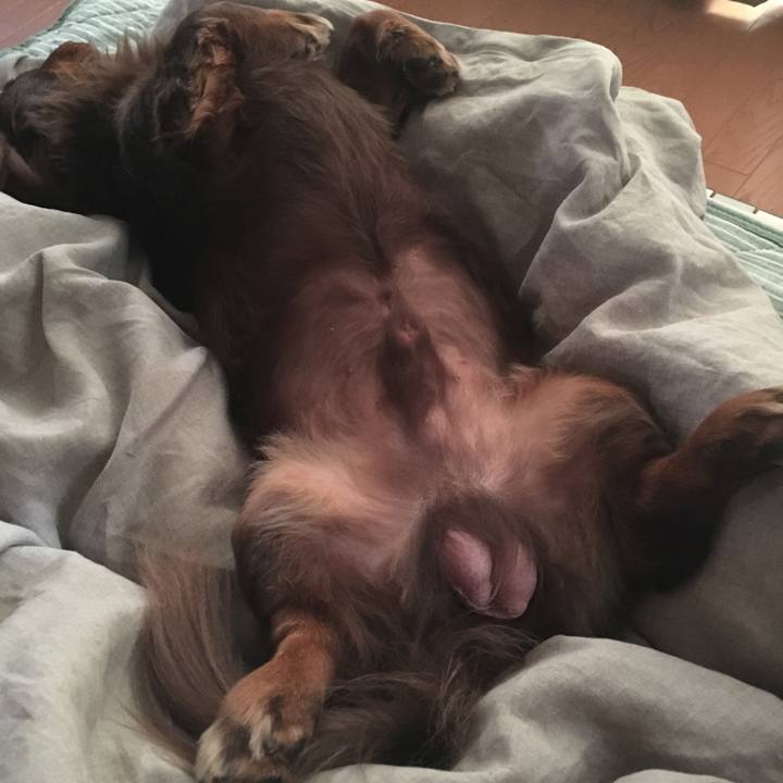 6755093b a2bd 45ad a6bc e270c1bcb19f