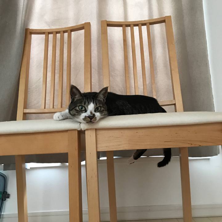 6755926e e63a 42f8 b10f 91b84c4d73d8