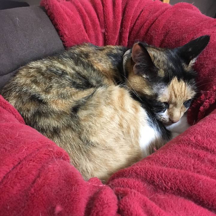 6756e0b4 c3f5 40a3 80f2 d85ba6fc7a3a