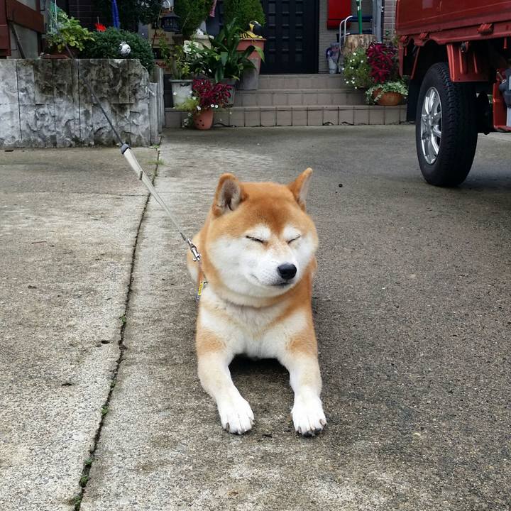 6757c0e5 cfc7 4d9c 8067 5b672f6c10ea